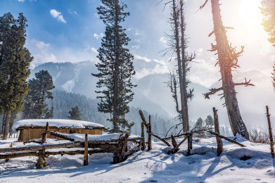 Untitled design (64)