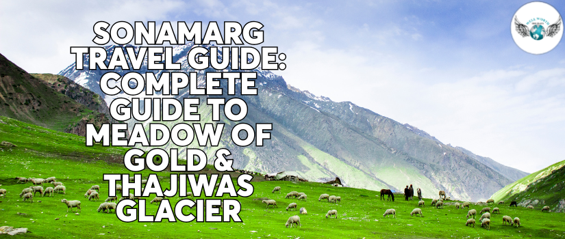 Sonamarg Travel Guide: Complete Guide to Meadow of Gold & Thajiwas Glacier